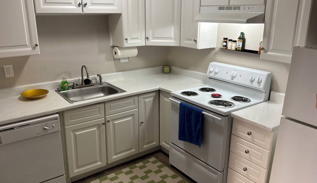 Cozy apartment in beautiful southwestern Colorado Springs