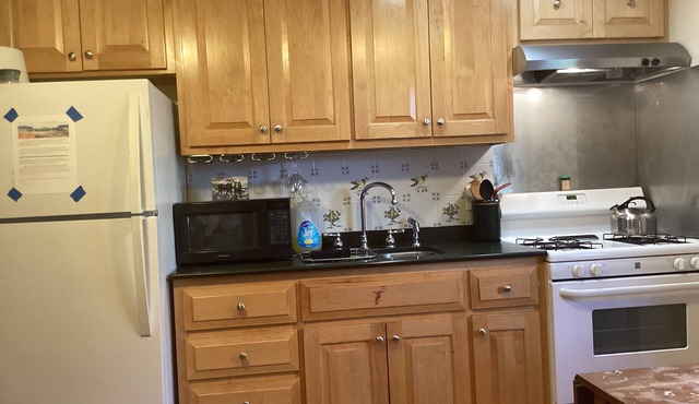 Cozy Camp Nestled In The Woods by the Carrabassett River, on 20 acres .