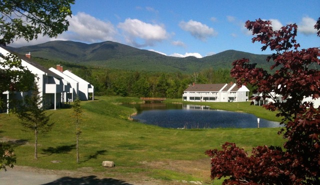 Cozy Condo in Snowbrook Village With Pool and Free WiFi