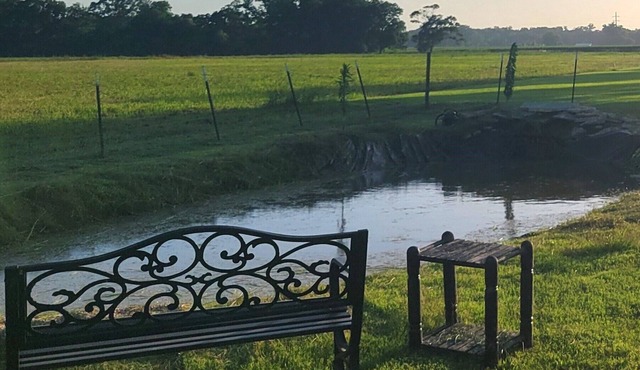 Cozy Studio Suite w/Pond View and Spa in Carencro