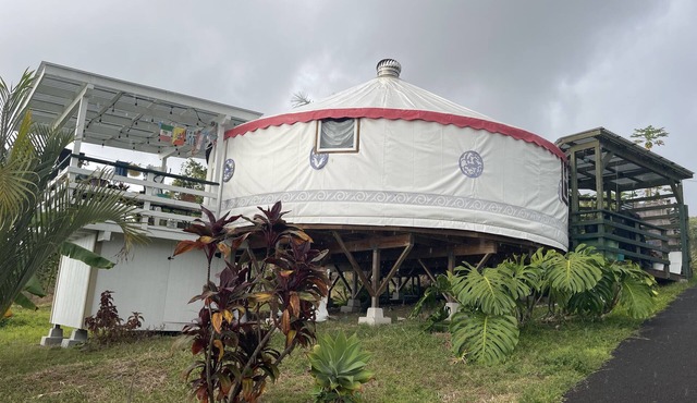 Cozy Yurt retreat on a Coffee Farm in Holualoa. 8 mn from the Beach & shopping