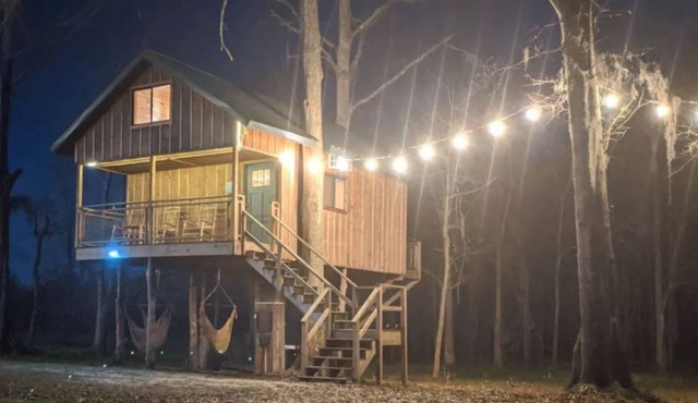 Enchanted Perch Tree House in Hope Hull