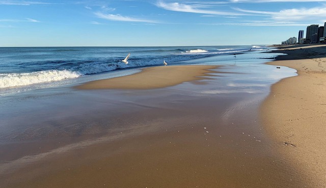 Fantastic Oceanside house -Short walk to the Beach - NEWLY REMODELED