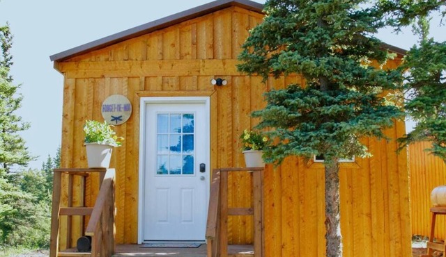 Forget Me Not Cabin -Arctic Dragonfly Inn