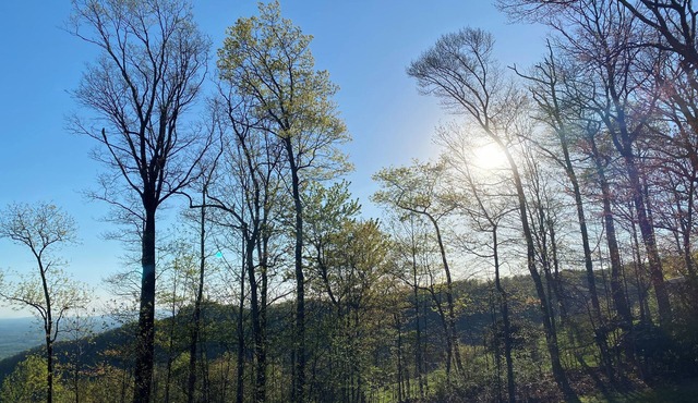 Gratitude View - It's cooler in the mountains!