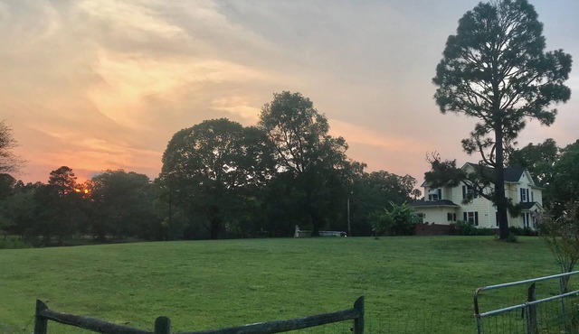 Harmony House on 10-Acre Farm with Pond