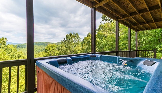 Hawk's Hideaway- Blue Ridge GA