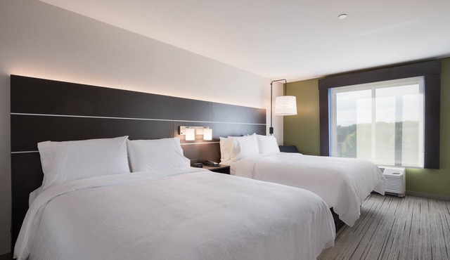 Holiday Inn Express & Suites Chicago - Hoffman Estates by IHG