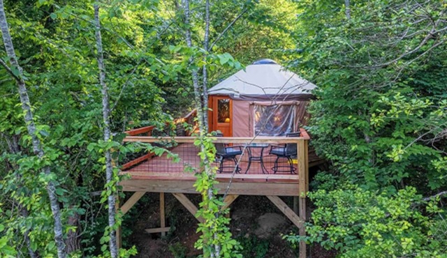 Holly Hideaway, Cozy Yurt, Pet Friendly, and Trails!