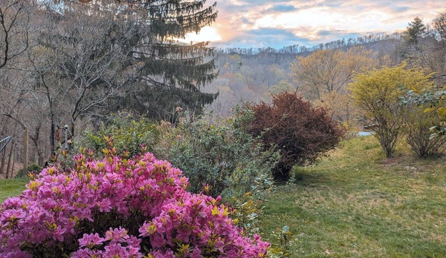 Knight's View & Bear Den Townhouse
