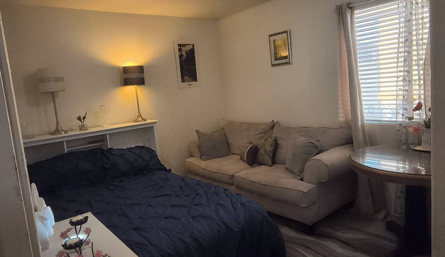 Large 3 bdr Classy European style in tranquil Vegas,close toSouth Strip &airport in Las Vegas
