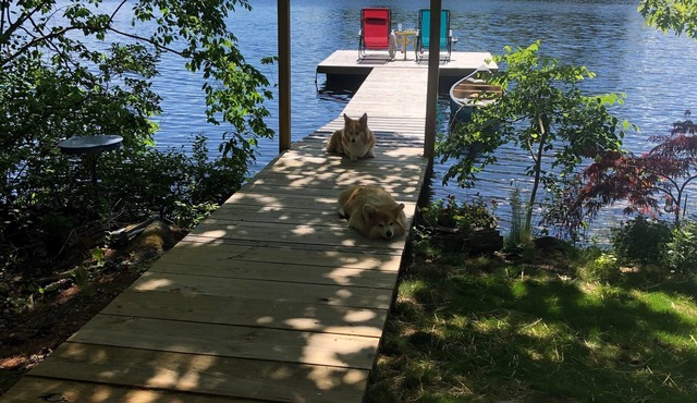 Lazy Days - Sunny Dock - Great Swimming & Fishing - close to Camden in Hope