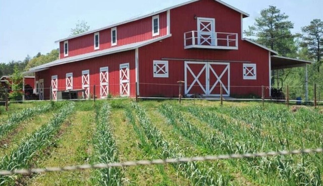 Live the farm life!