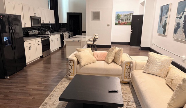 Luxury 2-bedroom apartment in Mount Vernon, Baltimore MD in Baltimore
