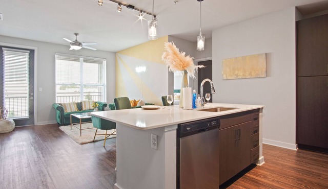 Luxury Apartment