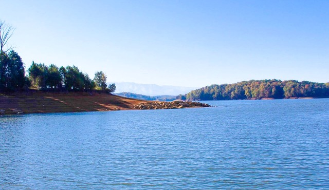 Luxury lakefront cabin with free attraction tickets, fire pit, dock & deck