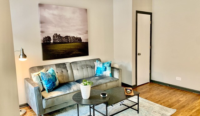 MODERN COMPLETELY REMODELED Bright, Spacious Flat STEPS from Wrigley Field &Bars in Chicago