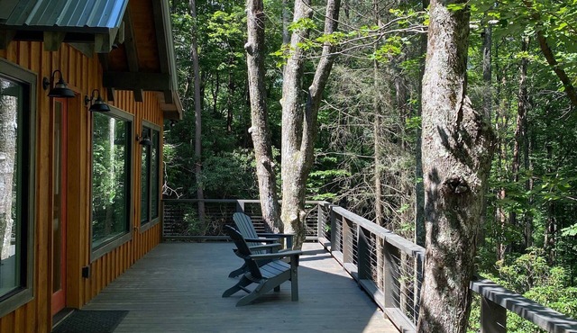 Modern Tree House Cabin in the Trees, Aska Adventure Area, 10 mn to Downtown