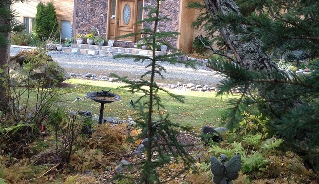 MOOSE MEADOW SUITE. Serenity on a large private wooded lot. Abundant wildlife in Anchorage