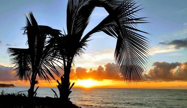 Pahoa Tropical Garden Getaway