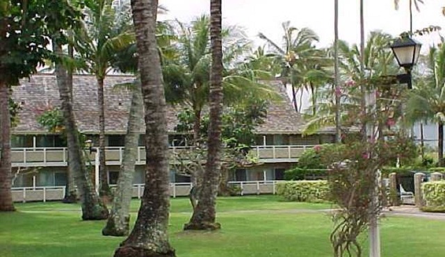 Plantation Hale G-11 - Soak up the Sunshine in Paradise!