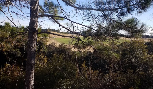 Private 2 Bedroom Condo in Myrtle Beach with Pool on Golf Course!