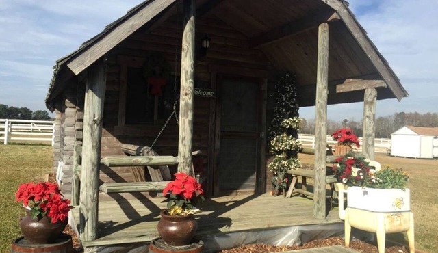 Rustic Cabin Rental on Secluded Farmland near Raleigh, North Carolina