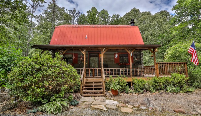 Rustic Cabin trout fishing, dog loving, beach area on secluded 8.5 acres! 001504 in Ellijay