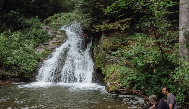 Scenic Falls Cabin - Luxury Retreat w/Private 65’ Waterfall & Natural Pool