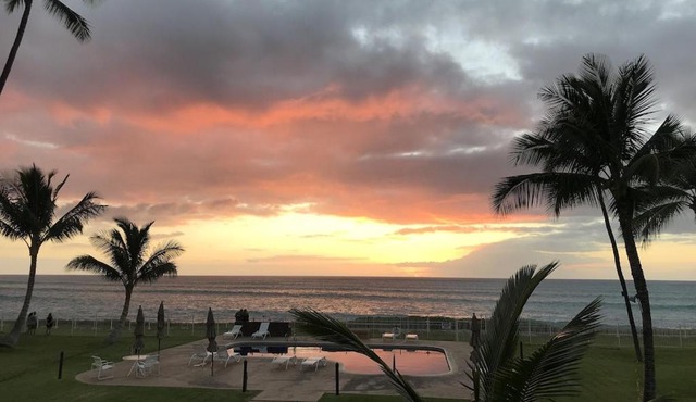 *SERENDIPITY ON THE MOANA - Legal & Oceanfront - Great for Work & Play!*