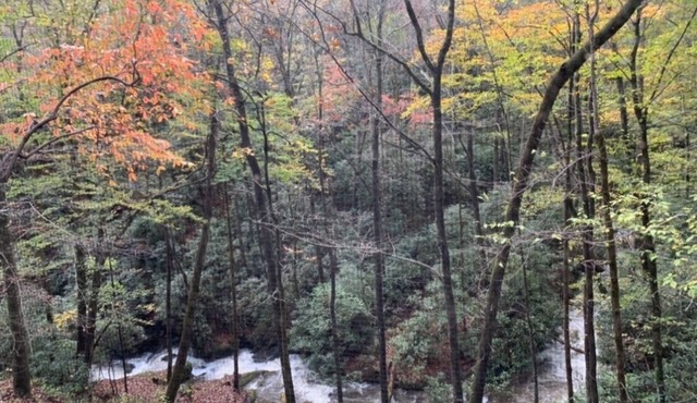 Sound of Rushing RAPIDS/Private wooded location/Hiking Trail/Hot Tub