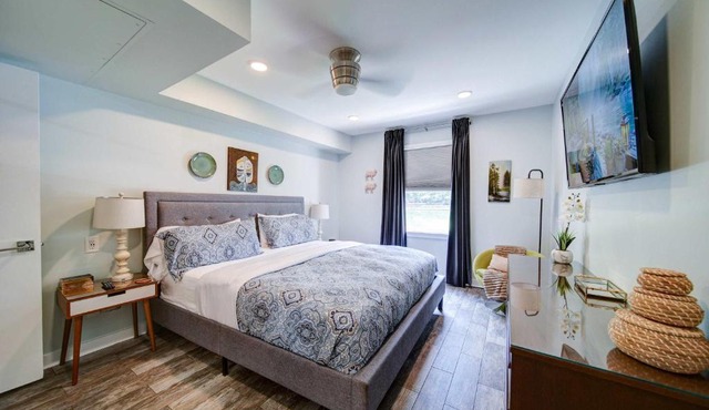 Spacious Conveniently Located 1BR in Myers Park in Charlotte