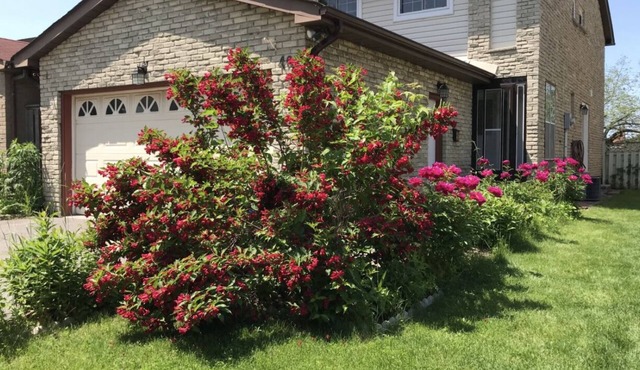 Stunning three bedroom family home in Markham