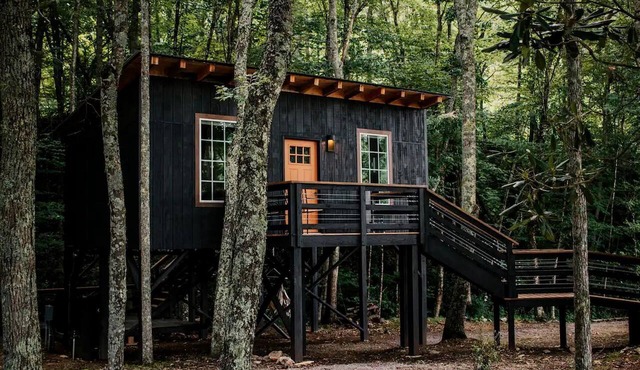 Stunning Tree House Perfect for Couples in Erwin, Tennesse in Erwin