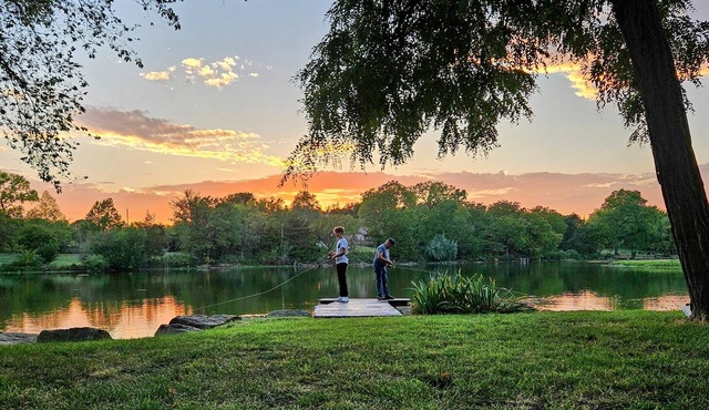 Swan Shores - newly remodeled lakefront home