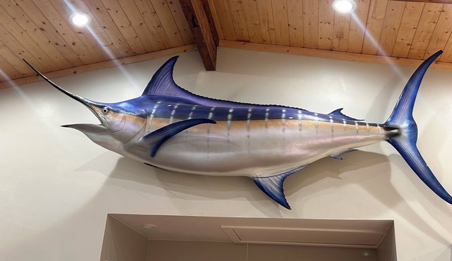 The Marlin house