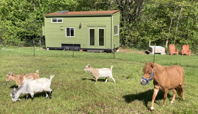 Tiny House at Hidden Meadow in Appleton