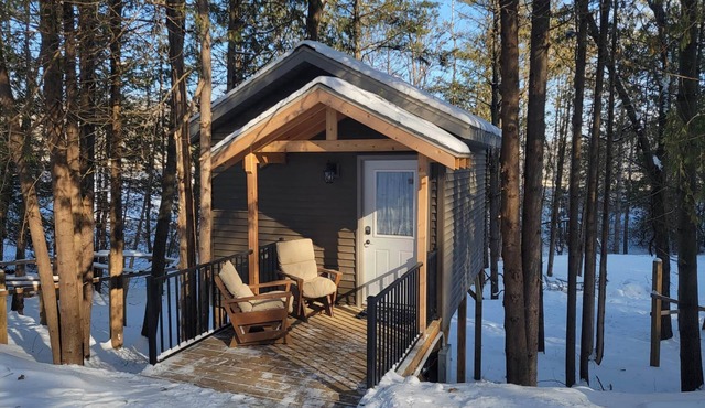 Tiny Treehouse Cabin | Bluff Woodlands #2 in Elba