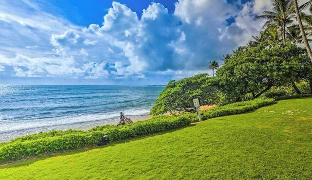 Wake to Ocean Views in This Breezy Kapaa Beachfront Studio