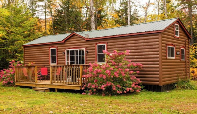 Waterfront Cabin perfect for Families, near BSP and KWW at Mt. Chase Lodge!
