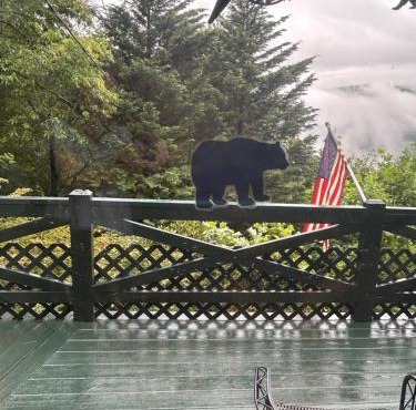 Williebear Cabin
