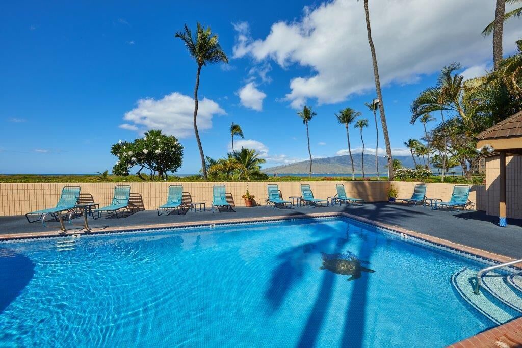 Kihei Condo | Penthouse oceanfront views of the jewel blue Pacific, whales, stunning sunsets