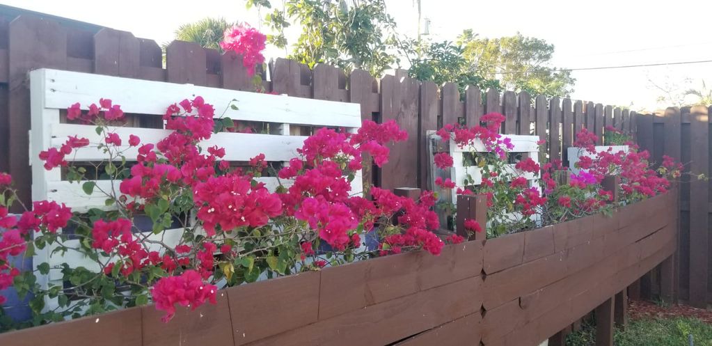Photo of Others in North Central Hollywood