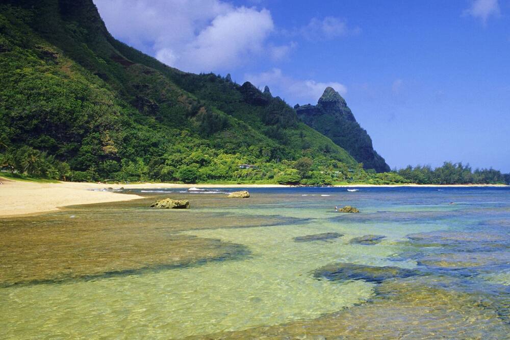 Photo of Others in Kaiulani