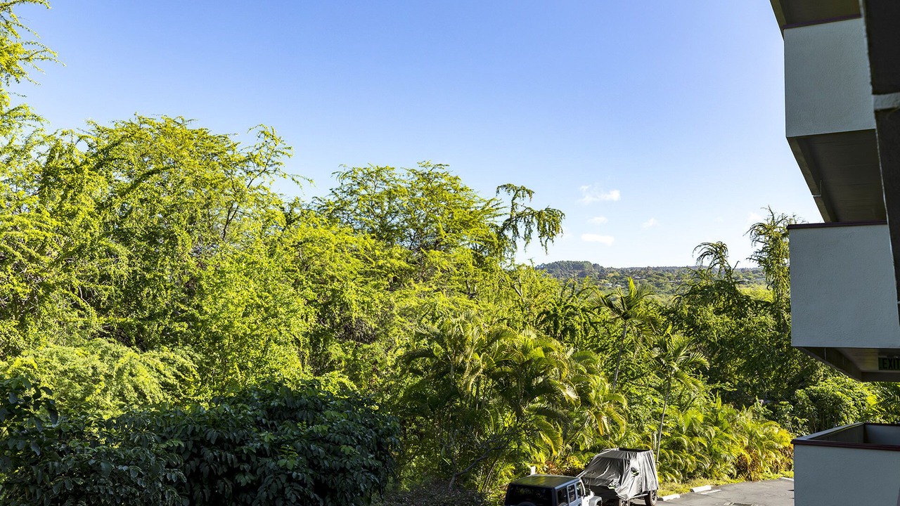 Photo of Outdoor in Kahaluu Bay