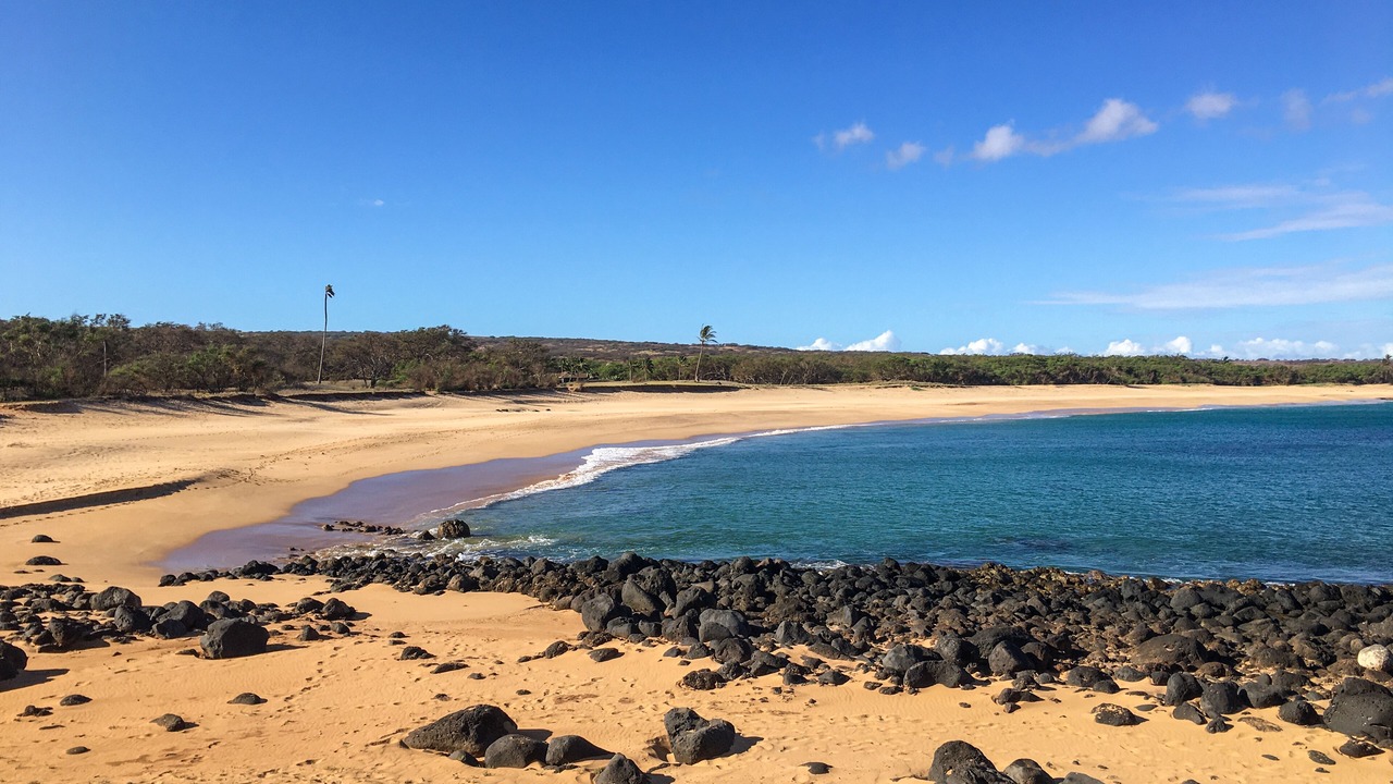 Photo of Others in Maunaloa