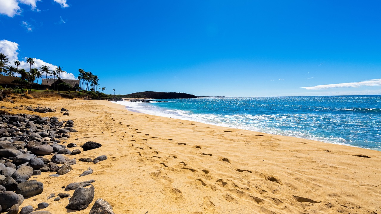Photo of Others in Maunaloa