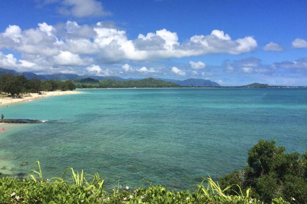 Photo of Others in Nuuanu - Punchbowl