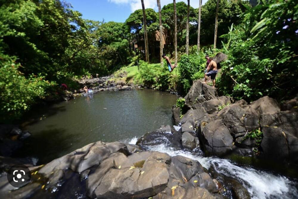 Photo of Others in Nuuanu - Punchbowl