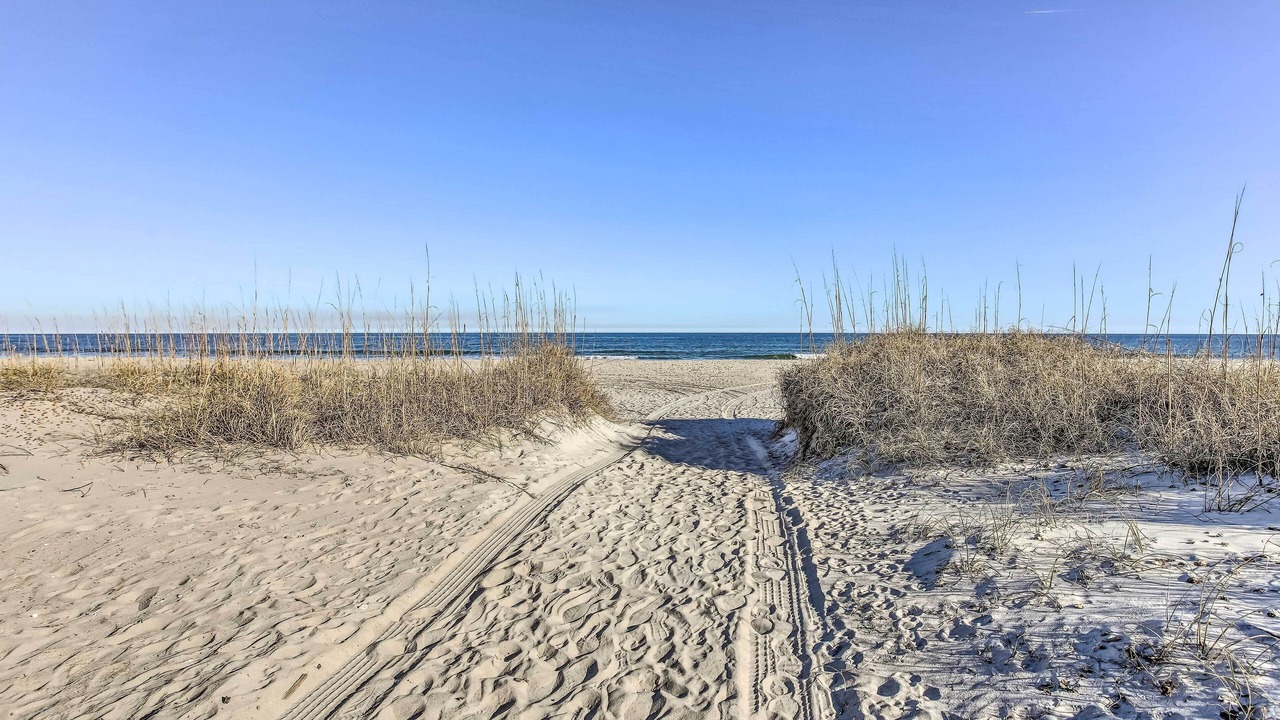 Photo of Others in North Carolina Coast